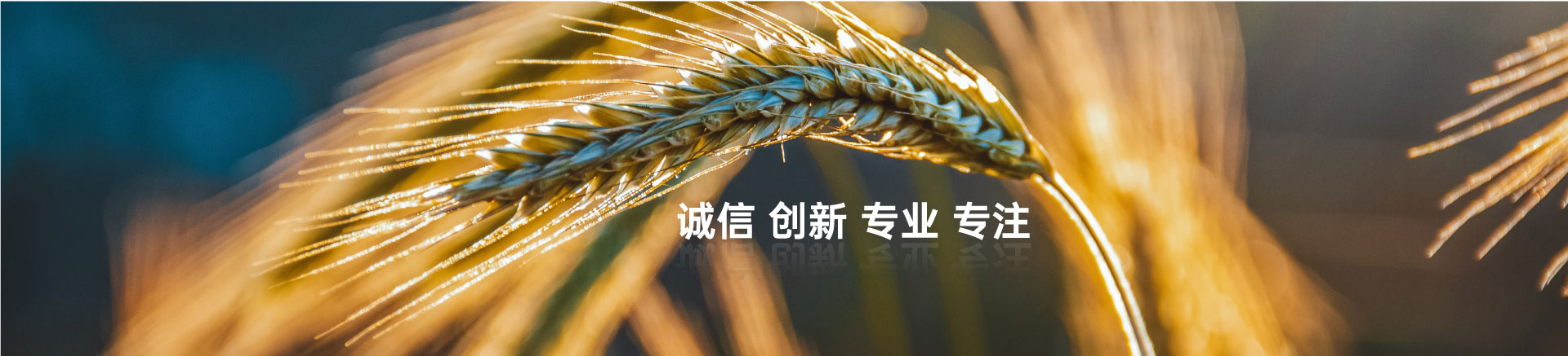顧客至上，信譽(yù)第一